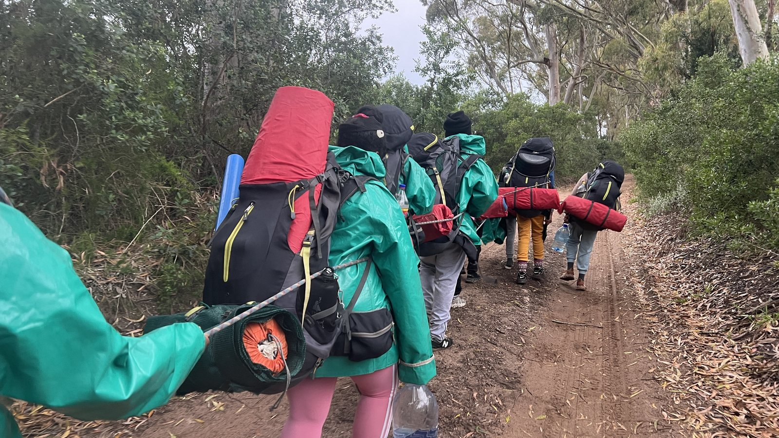 Group in rain jackets with packs heading up a wet gum-tree track