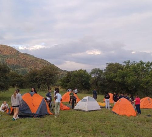 obsa-camp-tents-dusk
