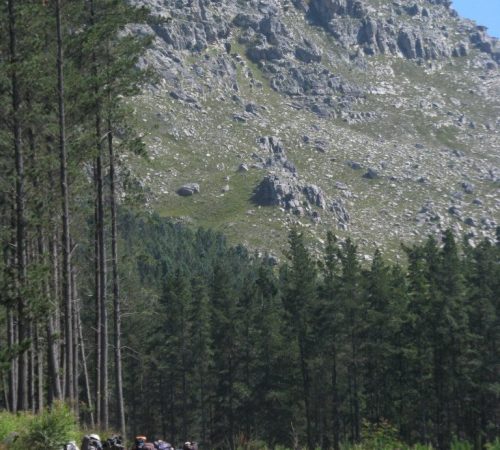 obsa-group-hike-forest-trail