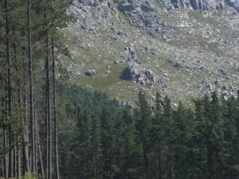 obsa-group-hike-forest-trail
