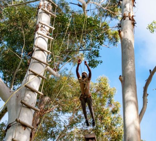 obsa-high-ropes-challenge